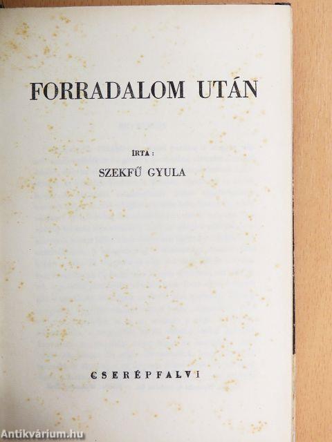 Forradalom után