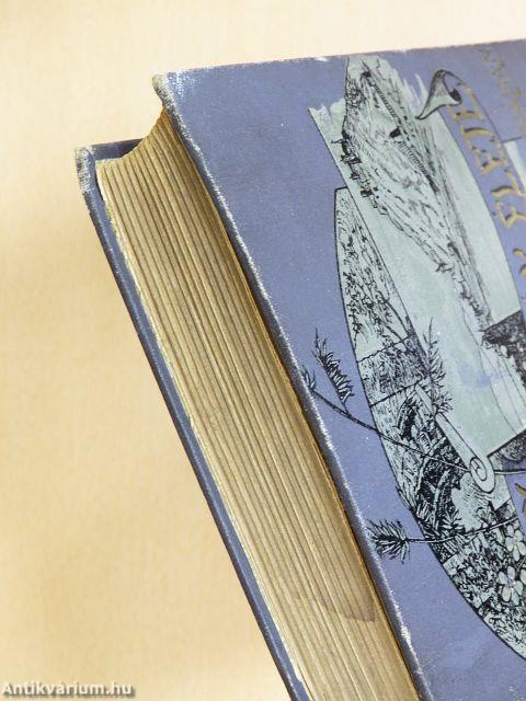 Egy magyar diák élete Mátyás király korában