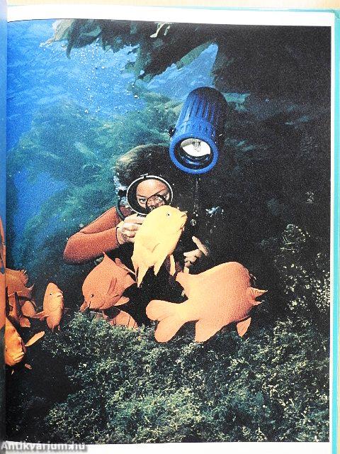 Treasures in the Sea