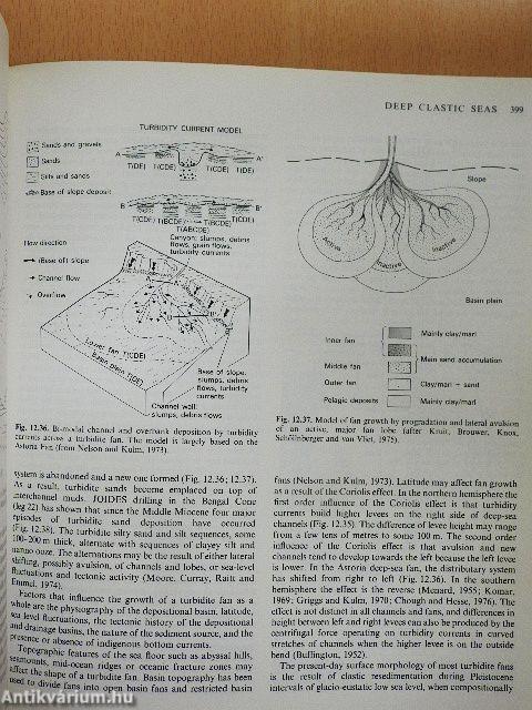 Sedimentary Environments and Facies