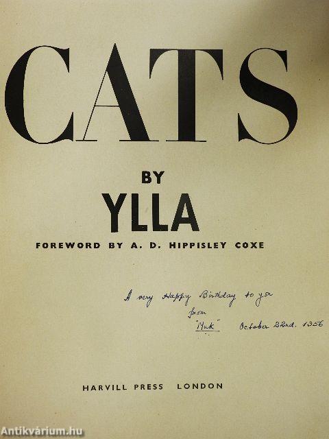 Cats