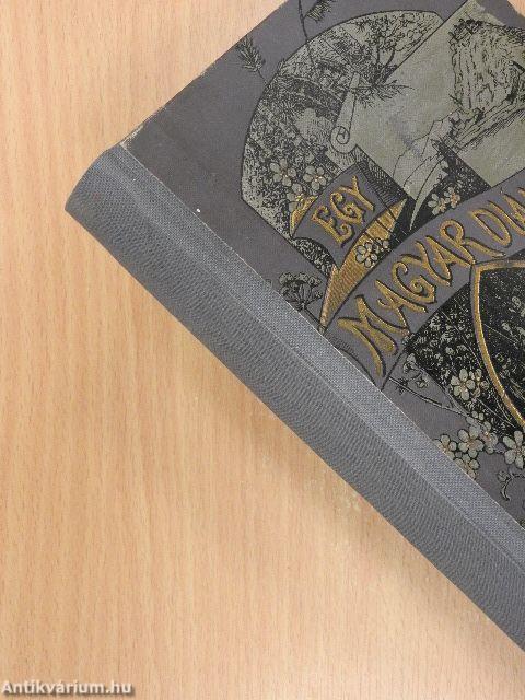 Egy magyar diák élete Mátyás király korában