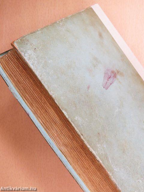 Egy magyar diák élete Mátyás király korában