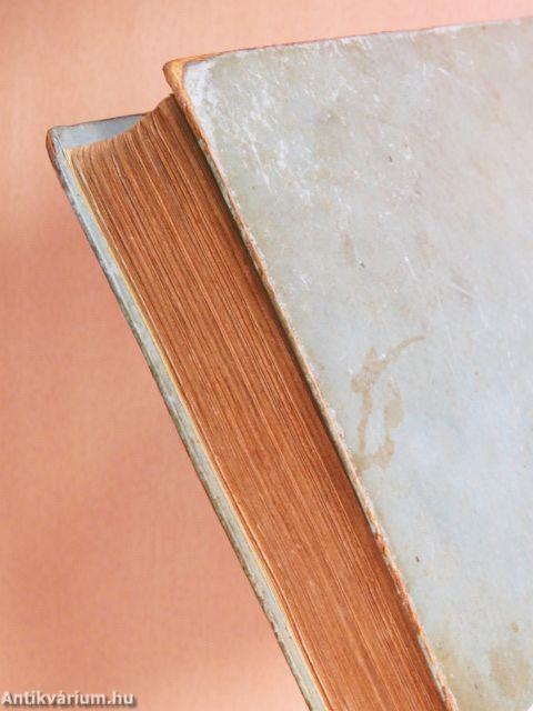 Egy magyar diák élete Mátyás király korában