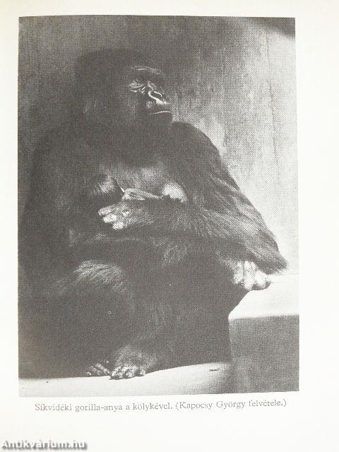 Az ember ősi ösztönei