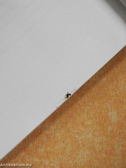 Egy lány, aki Vivaldit játszott