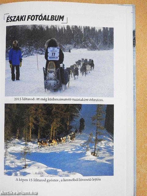 Orrvérzésig kutyaszán!