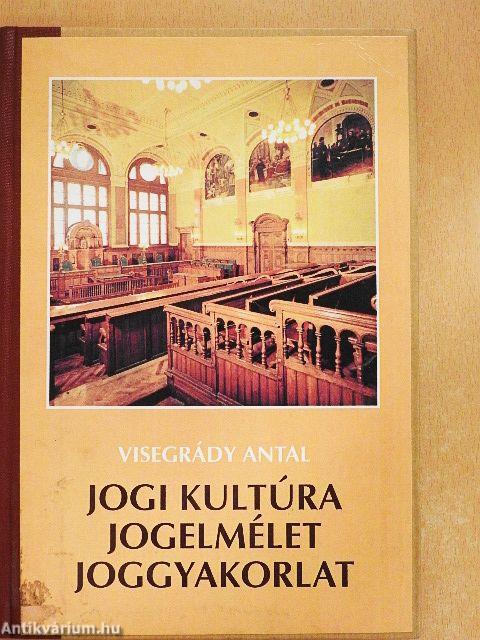 Jogi kultúra, jogelmélet, joggyakorlat
