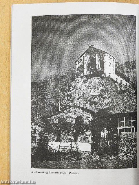 Dráma a Holt-tengernél