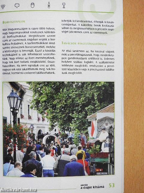 Mielőtt a dugót kihúzná