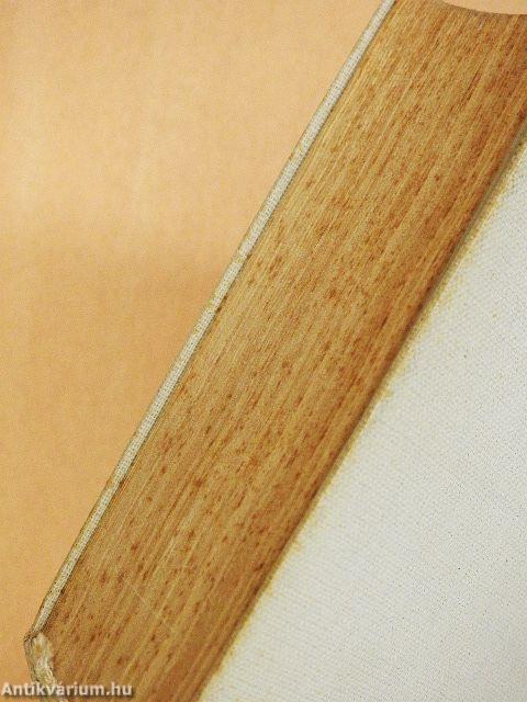 "És köntösömre sorsot vetettek"