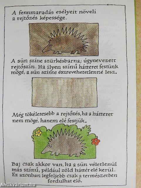 Sünkalauz