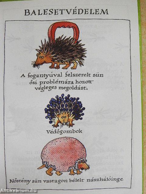 Sünkalauz