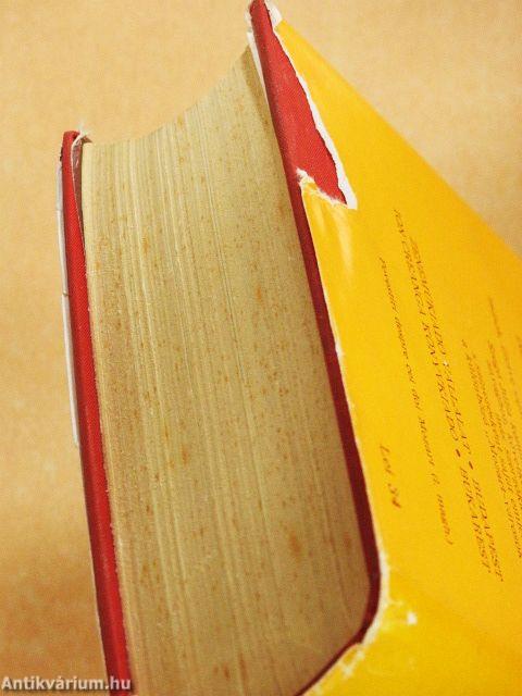 A két Mozart hétköznapjai