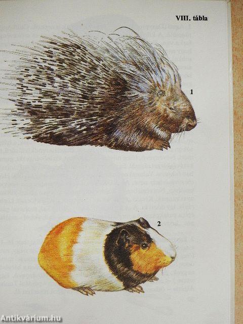 Állatkerti emlősök