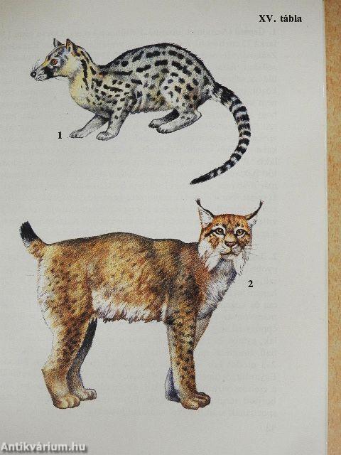 Állatkerti emlősök