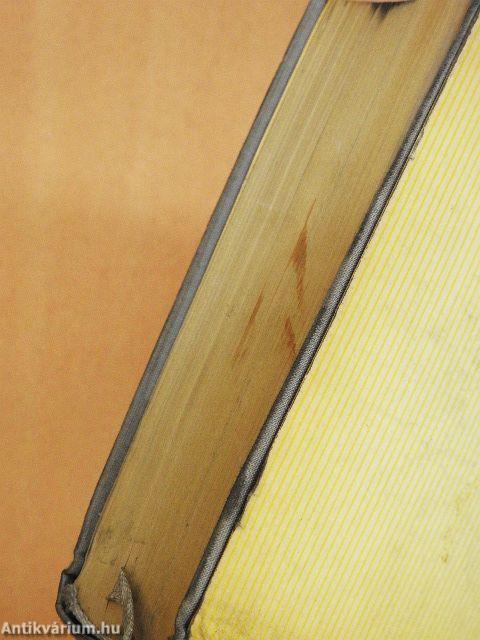 Gazdaság és társadalom