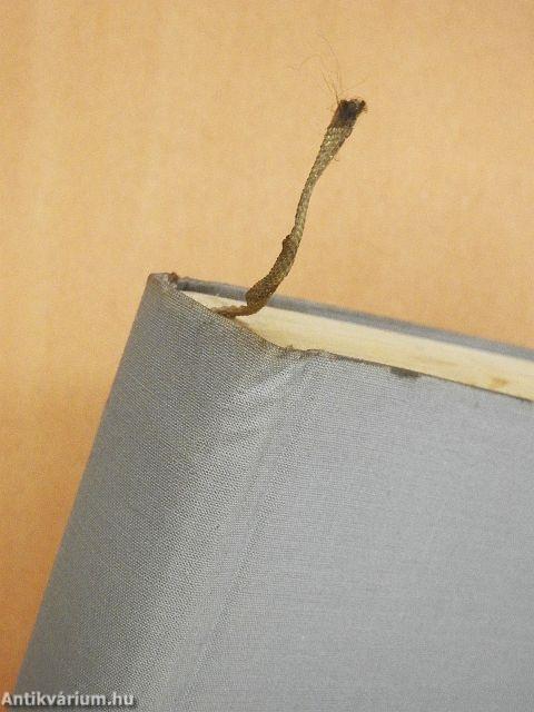 Gazdaság és társadalom