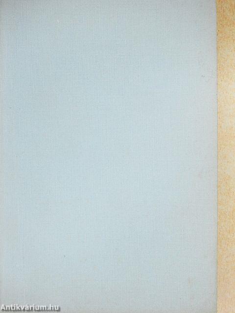 Feleség voltam New Yorkban