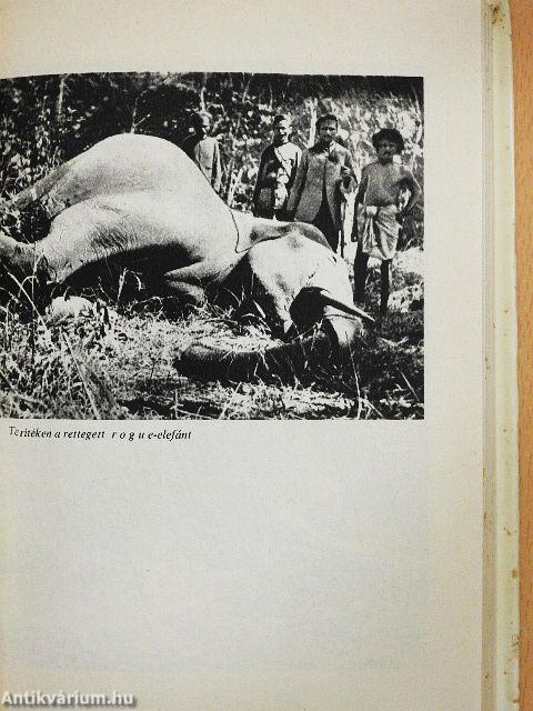 Nagyhírű vadászok nyomában