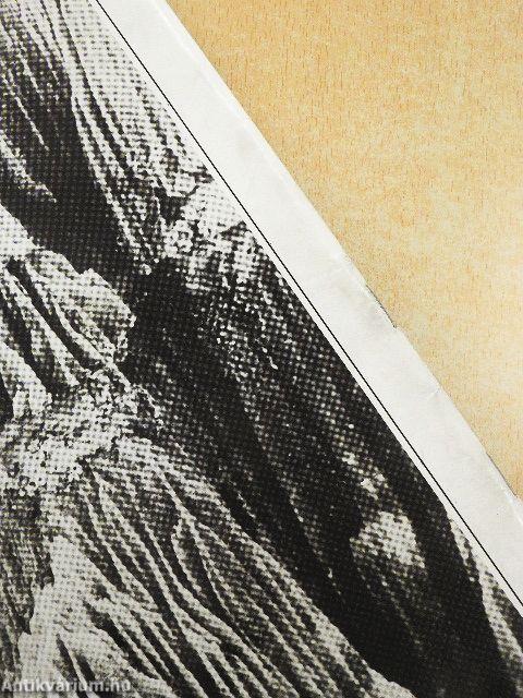 Természet Világa 1989. január-december