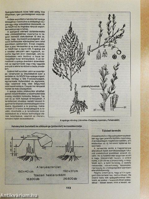 Természet Világa 1989. január-december