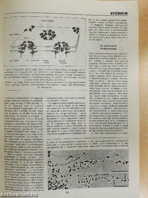 Természet Világa 1986. január-december