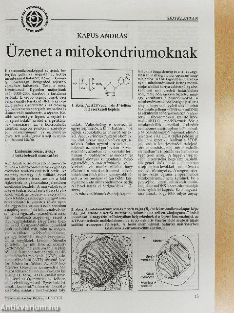 Természet Világa 1993. január-december