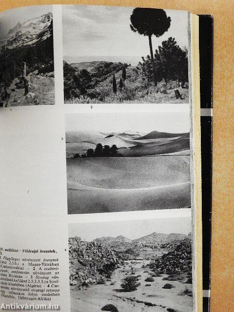 Természettudományi kisenciklopédia