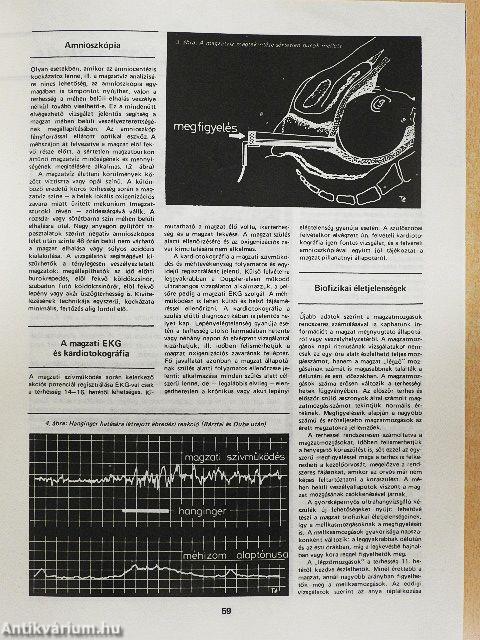 Természet Világa 1982. január-december