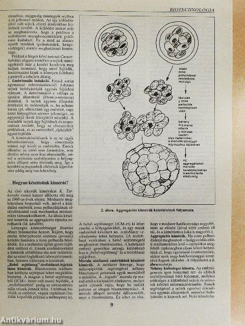 Természet Világa 1991. január-december