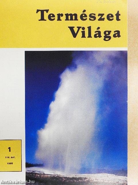 Természet Világa 1985. január-december