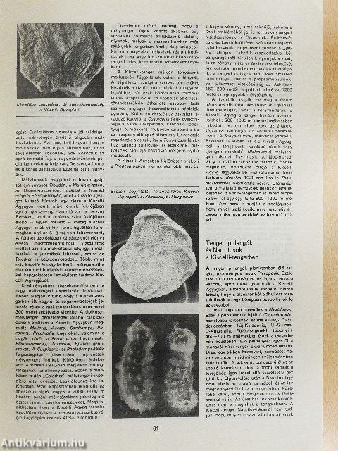 Természet Világa 1984. január-december