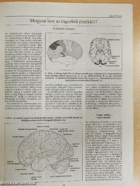 Természet Világa 1992. (nem teljes évfolyam)