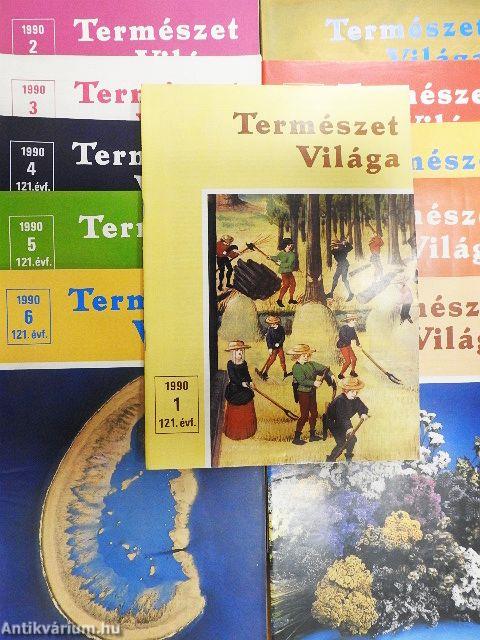 Természet Világa 1990. (nem teljes évfolyam)