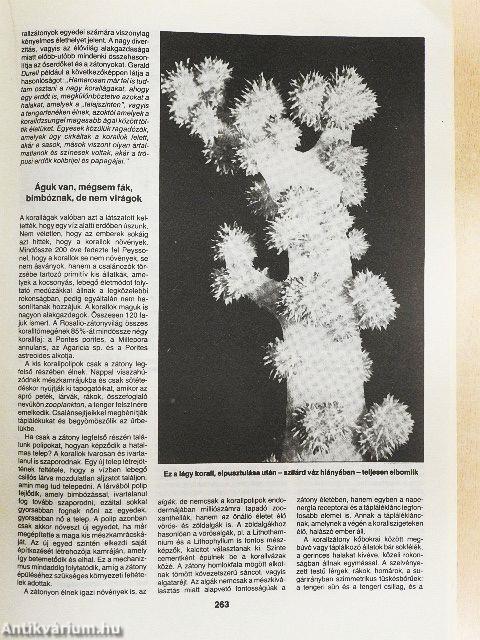 Természet Világa 1990. (nem teljes évfolyam)