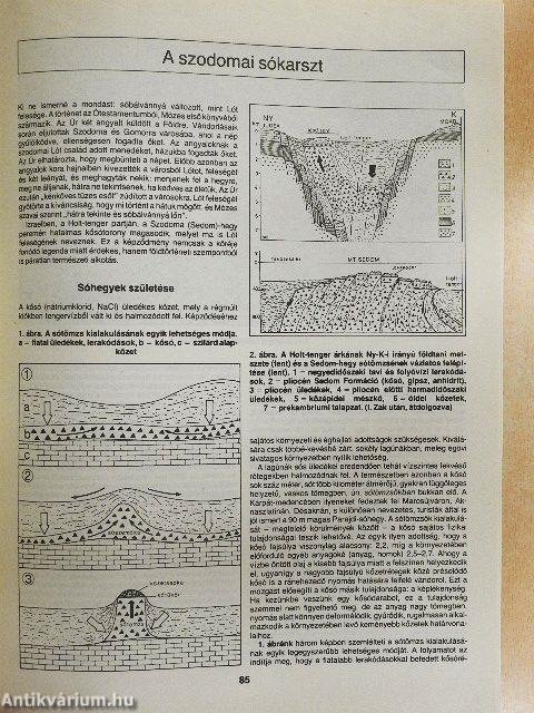 Természet Világa 1990. (nem teljes évfolyam)