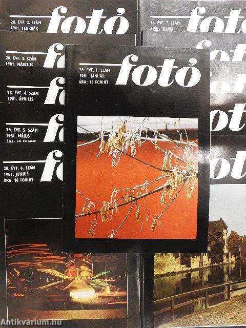 Fotó 1981. (nem teljes évfolyam)