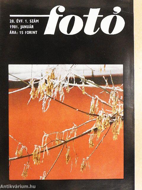 Fotó 1981. (nem teljes évfolyam)