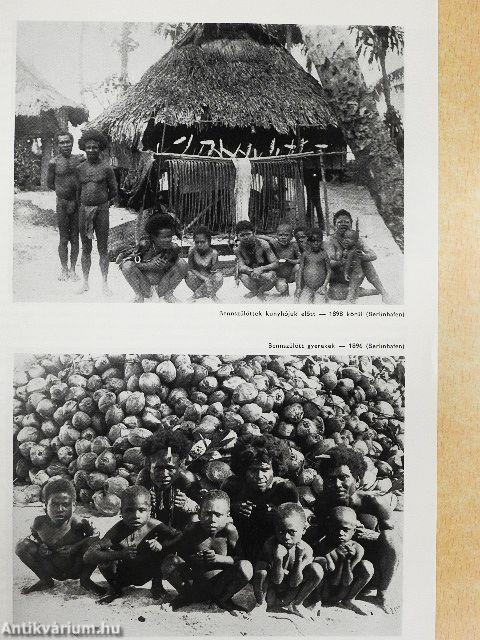 Fotó 1981. (nem teljes évfolyam)