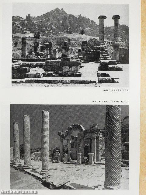 Fotó 1981. (nem teljes évfolyam)