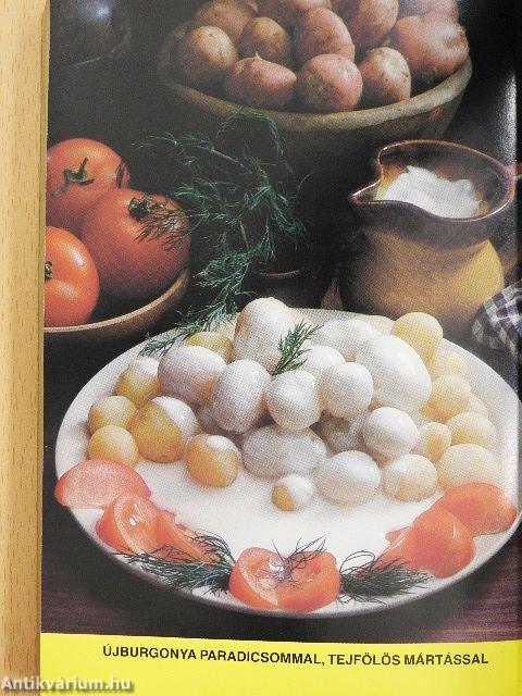 500 recept burgonyával