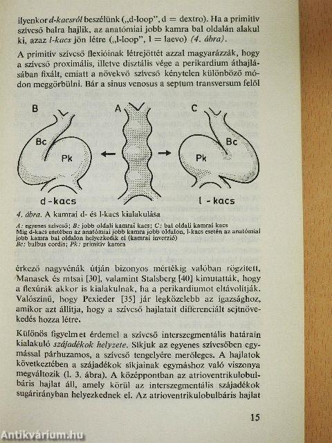 A biológia aktuális problémái 23.