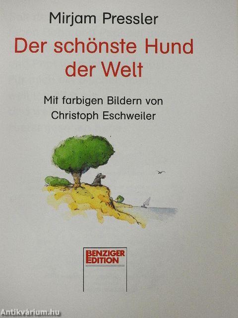 Der schönste Hund der Welt 
