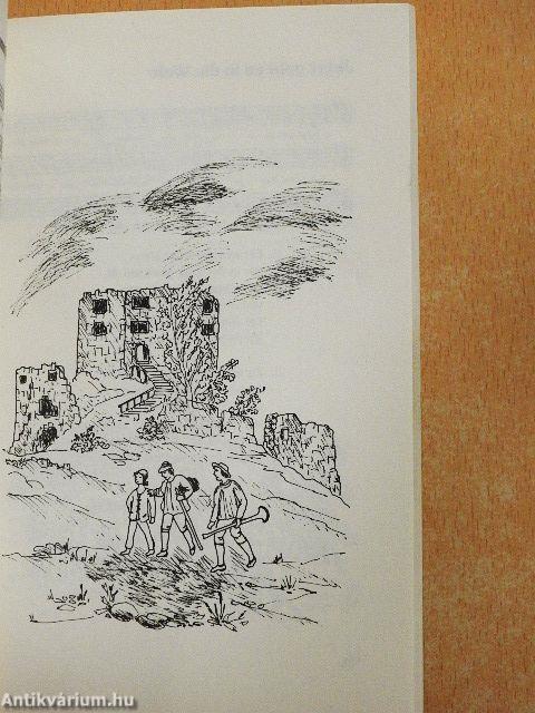 Die schönsten Wander- und Fahrtenlieder