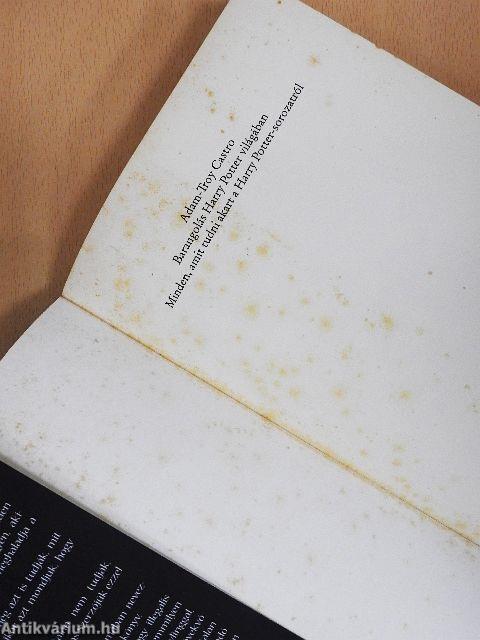 Barangolás Harry Potter világában