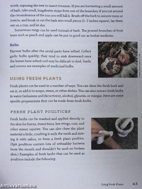 The Modern Herbal Dispensatory