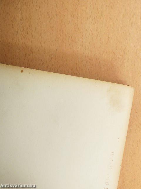 Az elragadott herceg