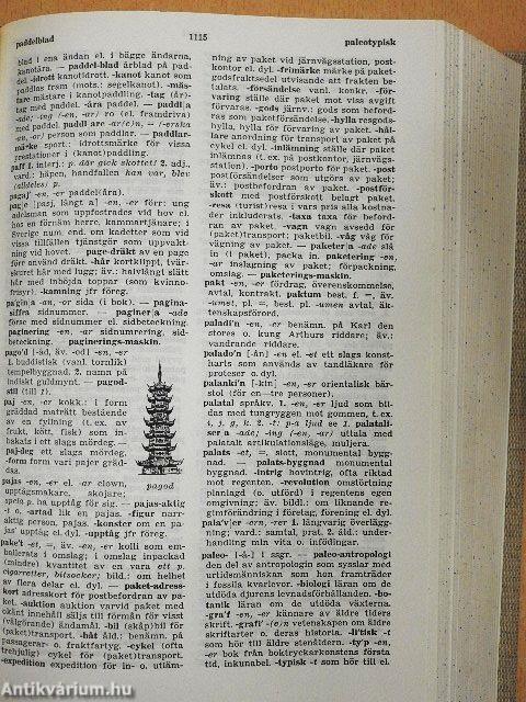 Illustrerad Svensk Ordbok