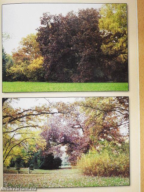 Tiszakürti Arborétum